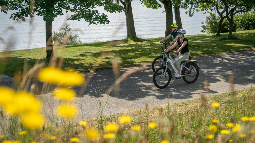 Başarılı Bisiklet Paylaşım Sistemleri Örnekleri